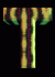t10.gif (2298 bytes)
