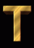 t12.gif (1865 bytes)
