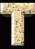 t6.gif (2792 bytes)