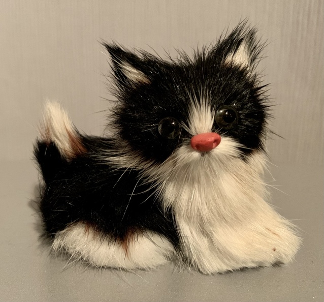 katze.jpg