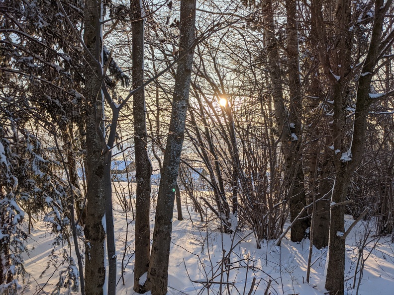 Schnee Baeume Sonne