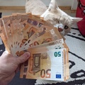 Katze mag Geld sehr gerne