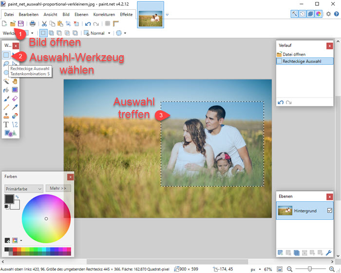 Screenshot Paint.Net Bildausschnitt auswählen