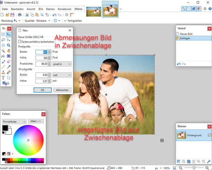 Screenshot Paint.Net Bild aus Zwischenablage einfügen