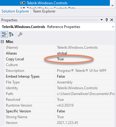 Screenshot Visual Studio Properties