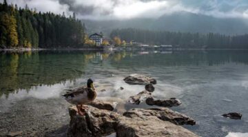 Gebirgssee, warme Thermalquellen, Natur